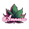 Amnesia