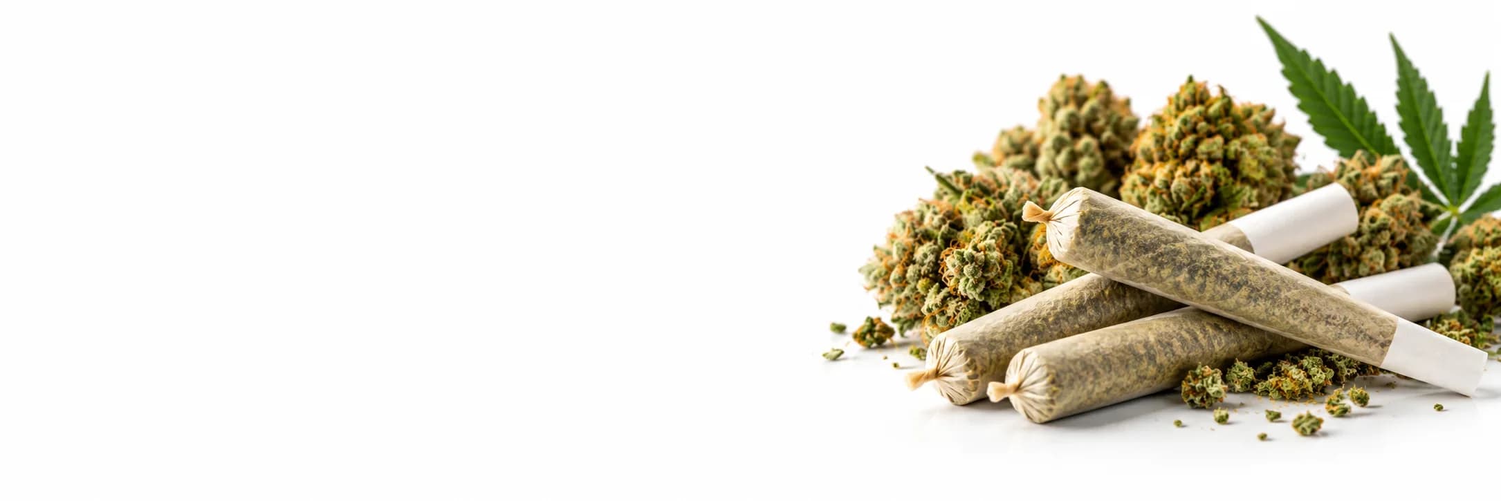 Shop Cannabis Pre-Rolls in Michigan