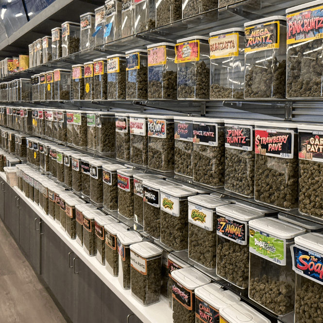 Inside Levels Cannabis – Premium Michigan Dispensary A team member standing behind the counter at Levels Cannabis, surrounded by cannabis products on display in a modern Michigan dispensary.
